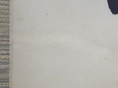 画像6:  掛軸No113【松無古今色】 (6)