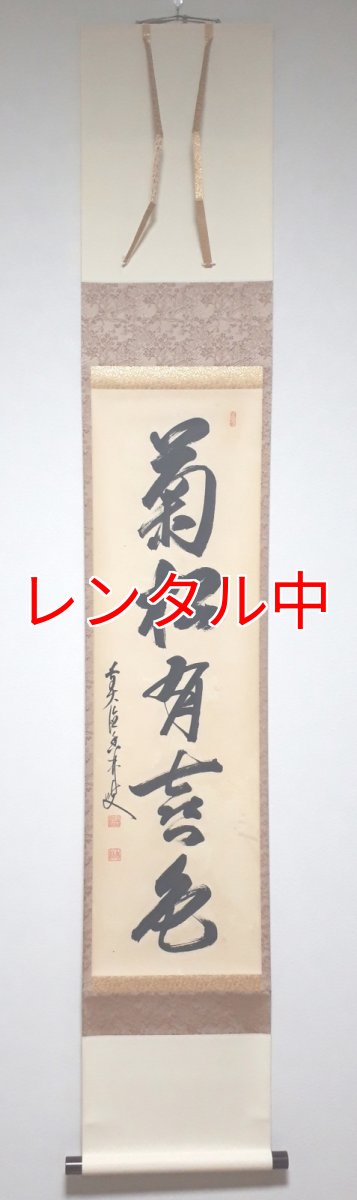 画像1: 掛軸No174【菊松多喜色】 (1)