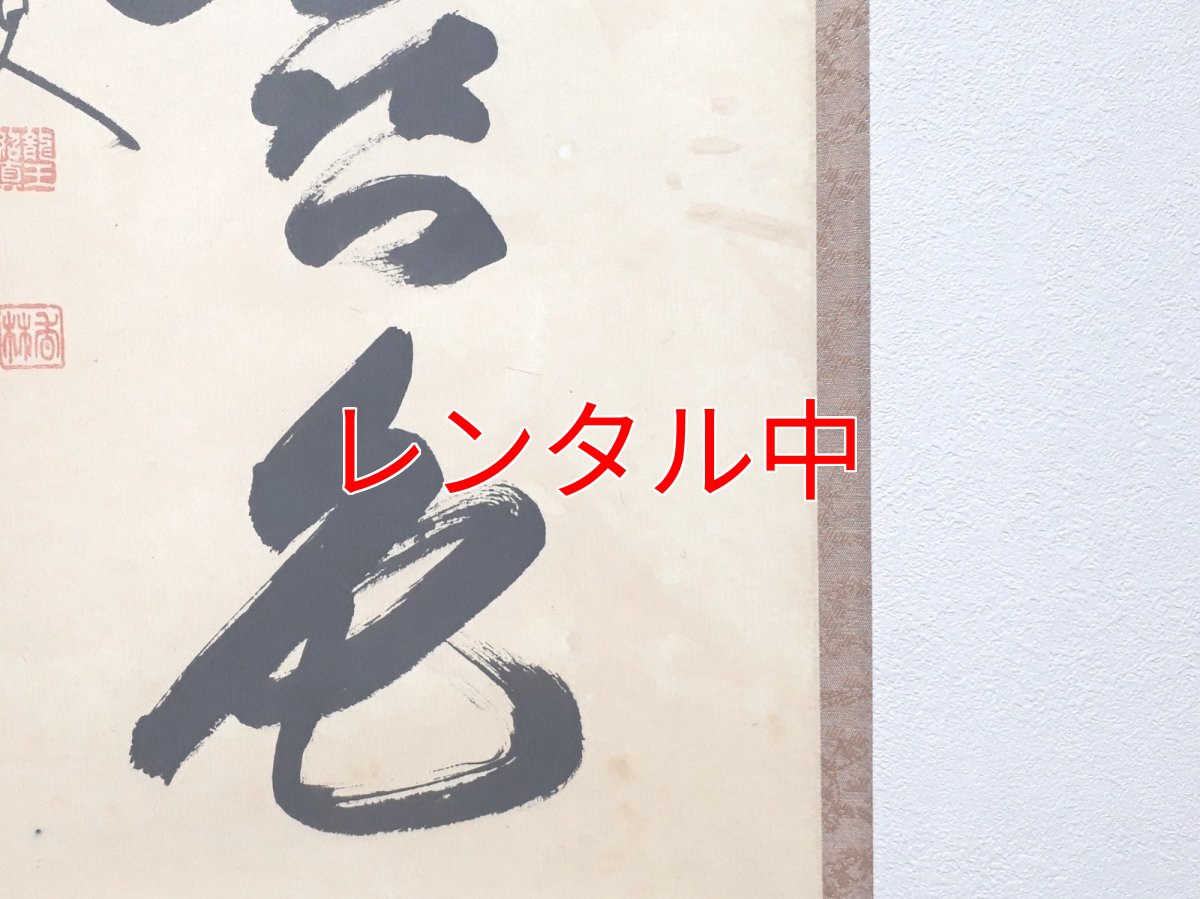 画像5: 掛軸No174【菊松多喜色】 (5)