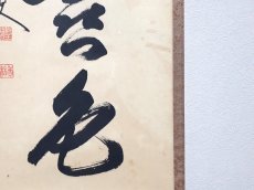 画像5:  掛軸No174【菊松有喜色】 (5)