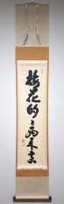 画像1:  掛軸No55【梅花的々西来意】 (1)
