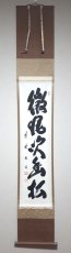 画像1:  掛軸No96【微風吹幽松】 (1)