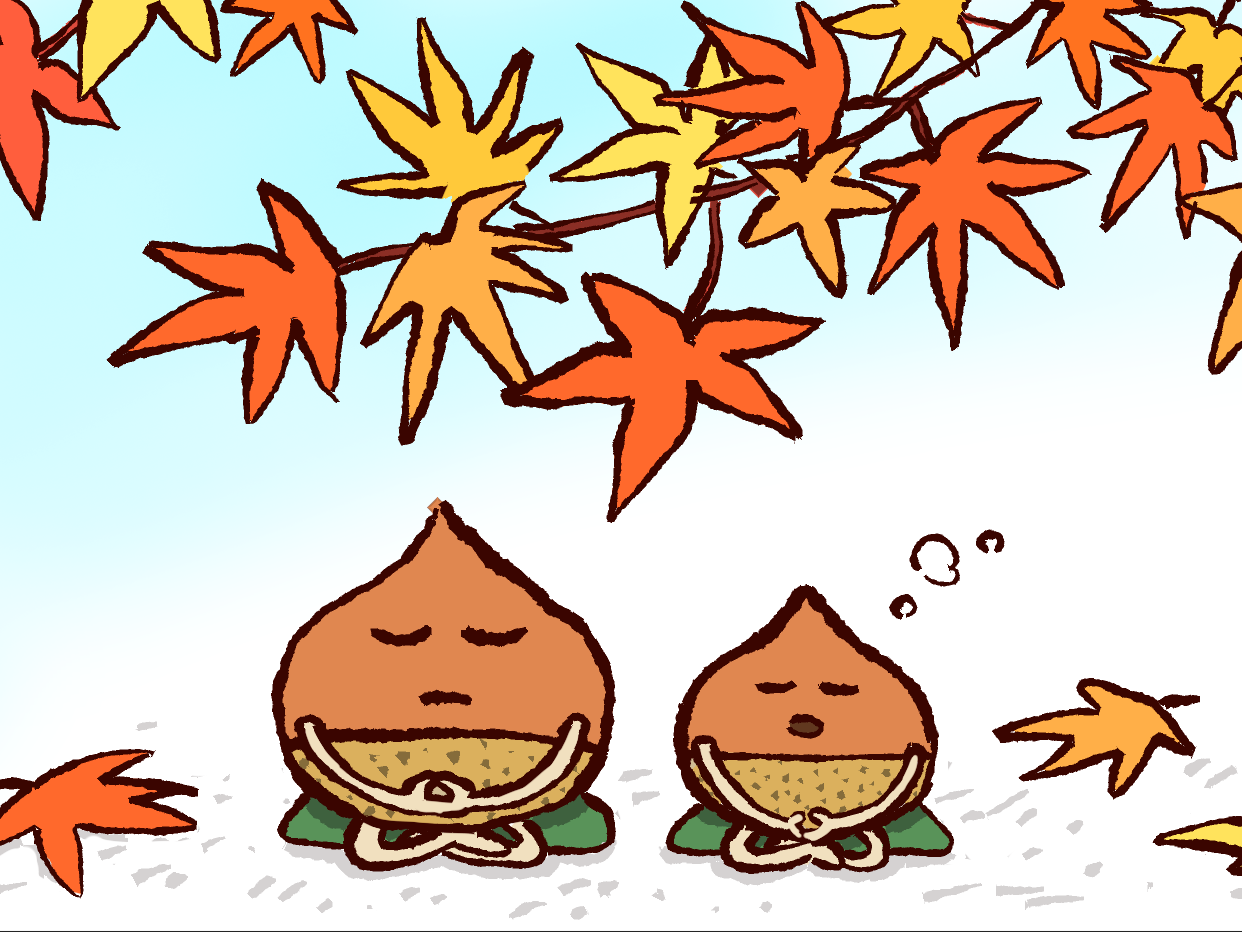 11月のおすすめ